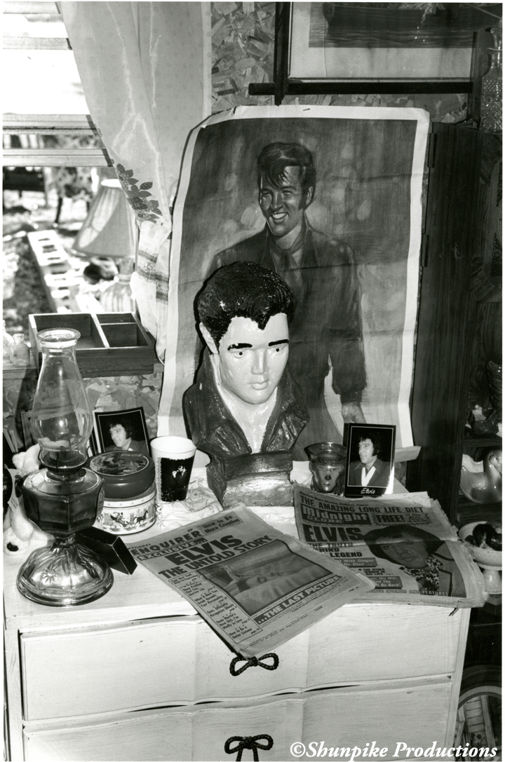 Elvis Still Life